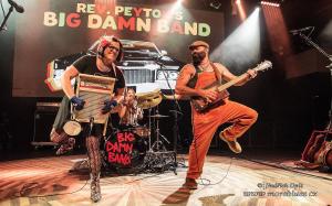 The Reverend Peytons Big Damn Band